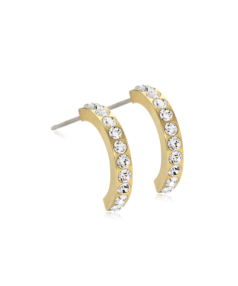 Gold Titanium Pendant Brilliance Curved Earrings