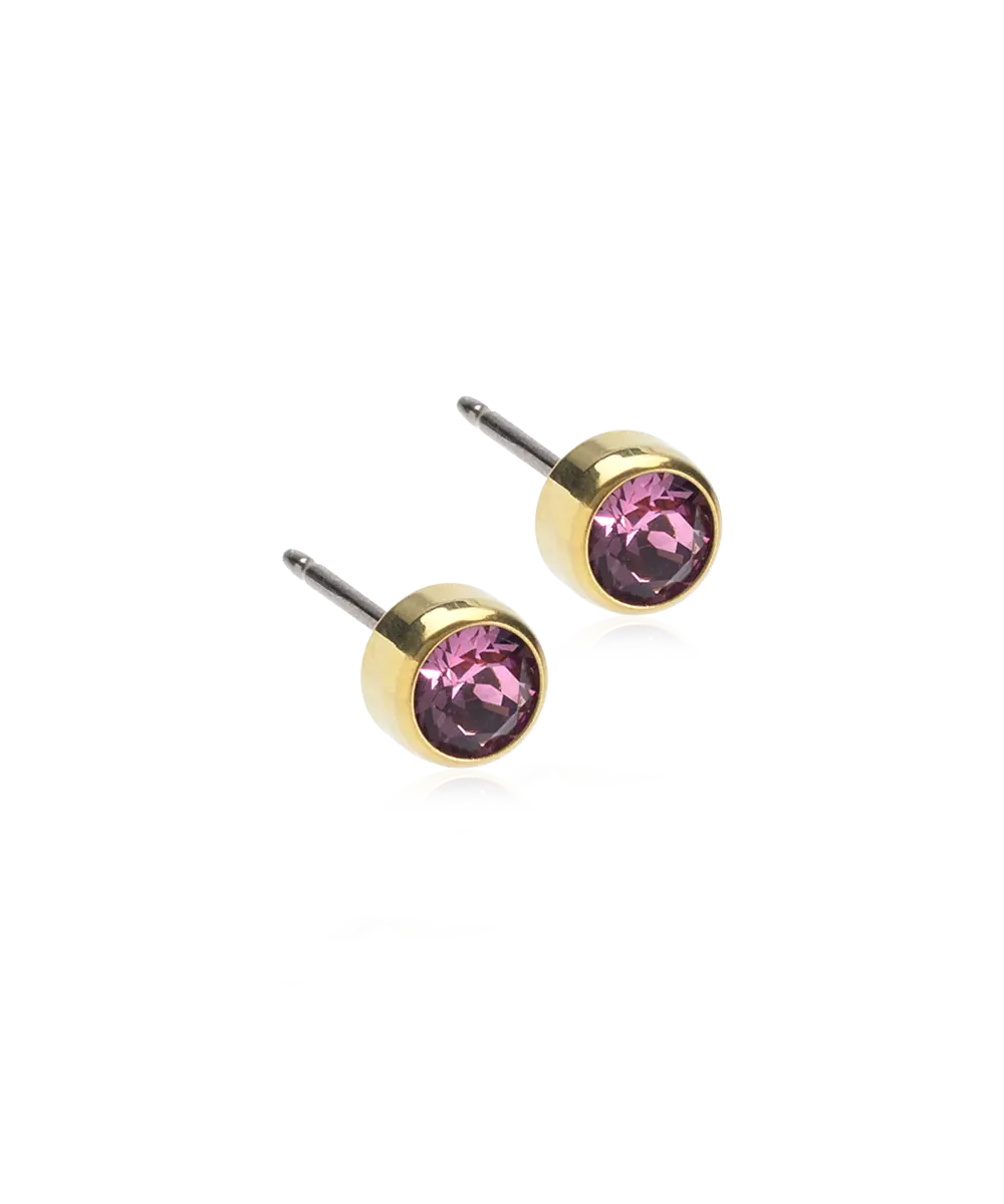 Gold Titanium Bezel Earrings