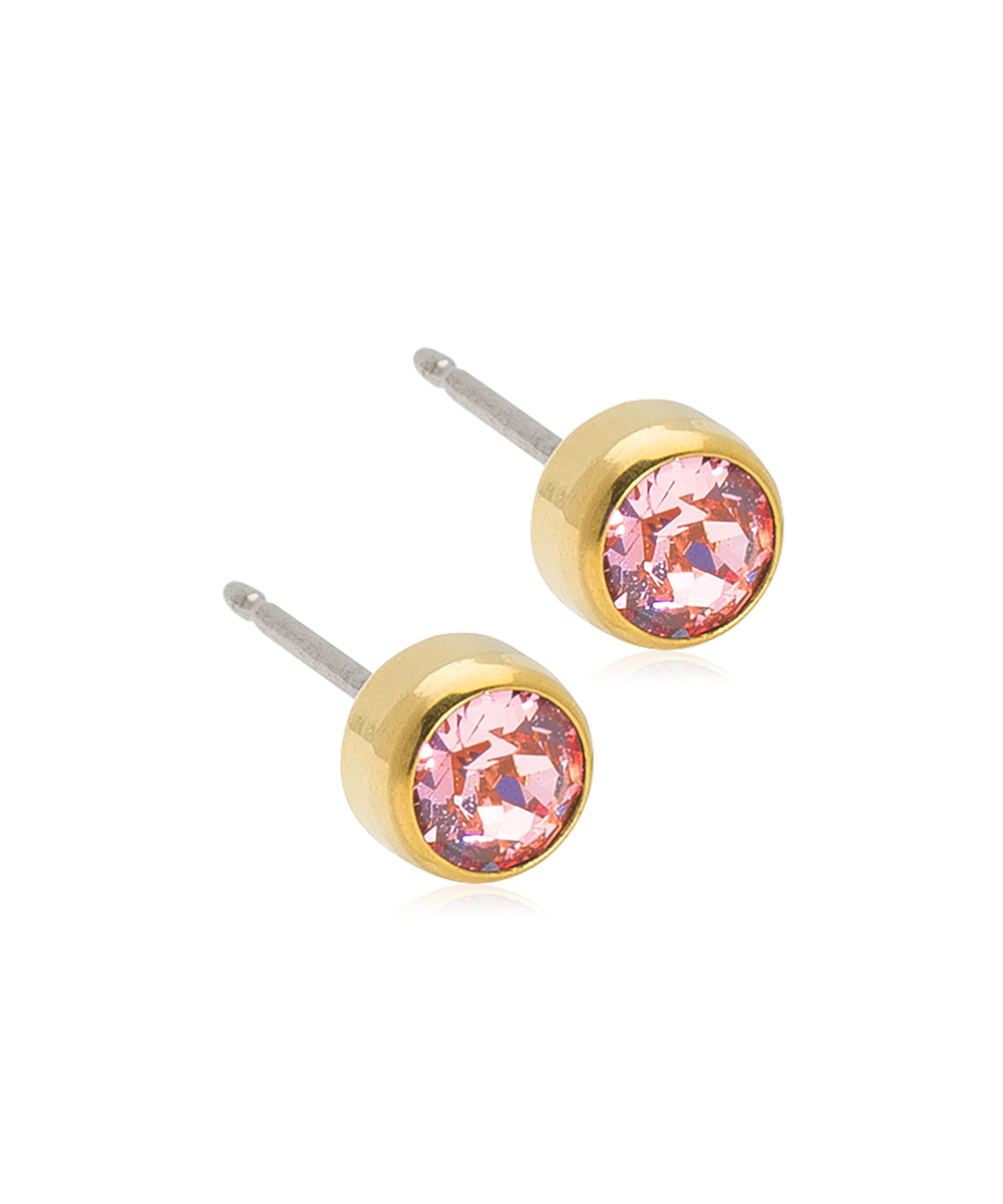 Gold Titanium Bezel Earrings