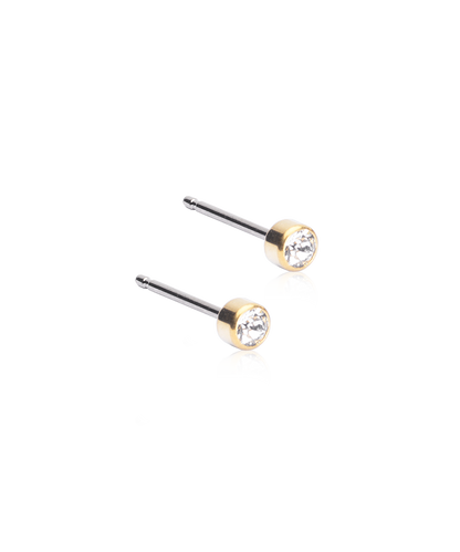 Gold Titanium Bezel Earrings
