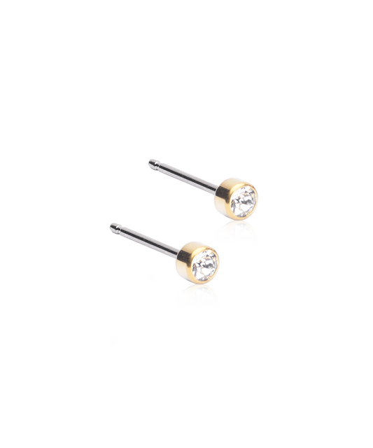 Gold Titanium Bezel Earrings