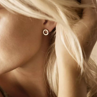 Gold Titanium Brilliance Puck Hollow Crystal Earrings 10mm