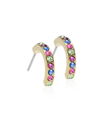 Gold Titanium Pendant Brilliance Curved Earrings