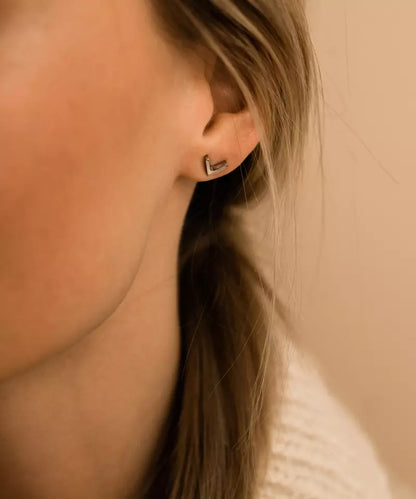 Natural Titanium Plain V Earring