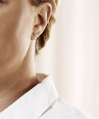 Natural Titanium Plain V Earring