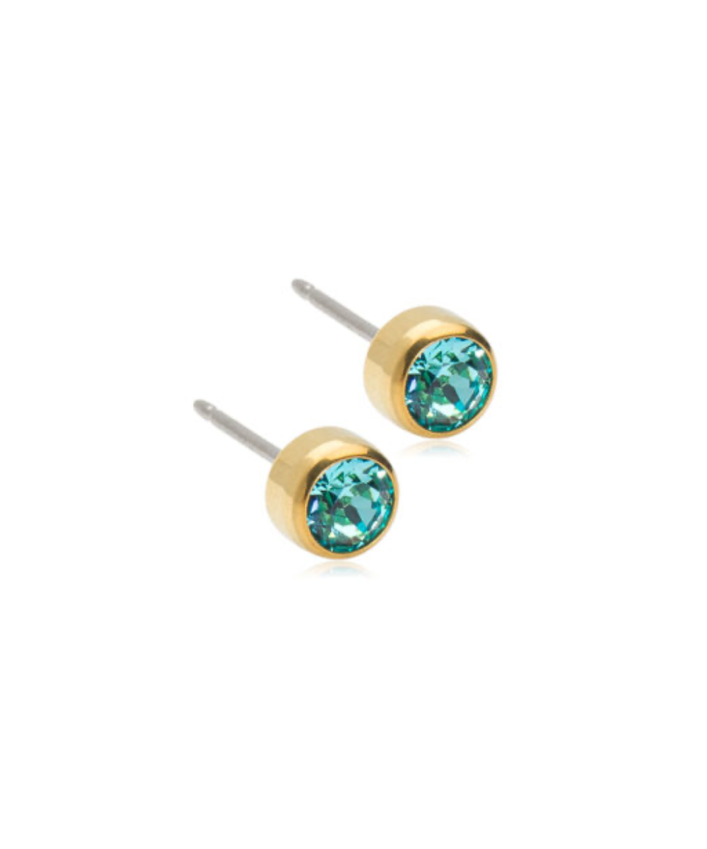 Gold Titanium Bezel Earrings