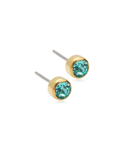 Gold Titanium Bezel Earrings