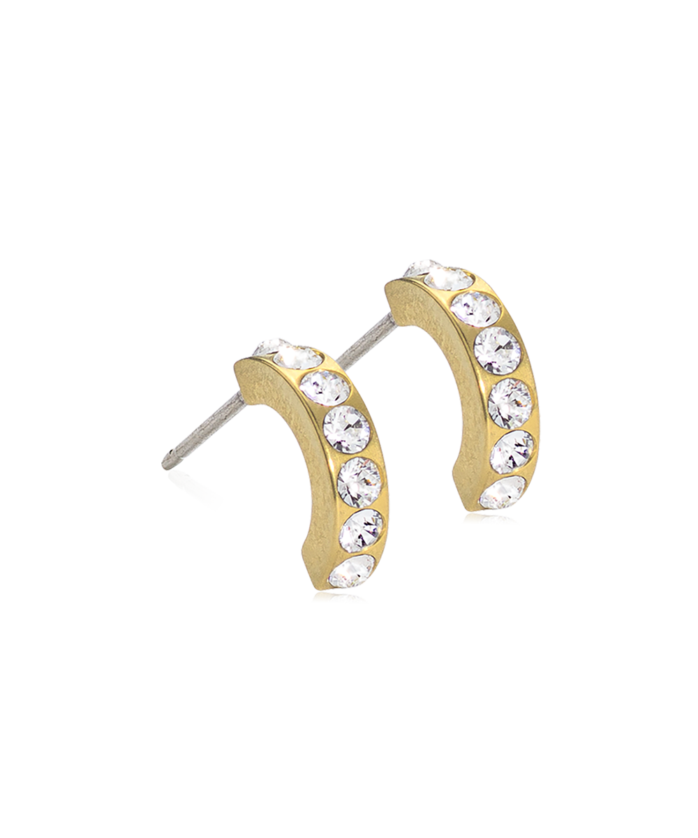 Gold Titanium Pendant Brilliance Curved Earrings