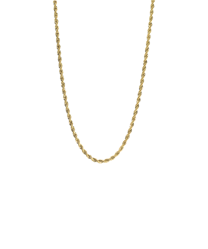 Gold Titanium Twist Necklace 2.5mm