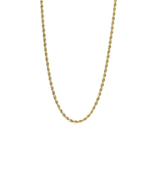 Gold Titanium Twist Necklace 2.5mm