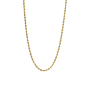 Load image into Gallery viewer, Gold Titanium Twist Necklace 2.5mm
