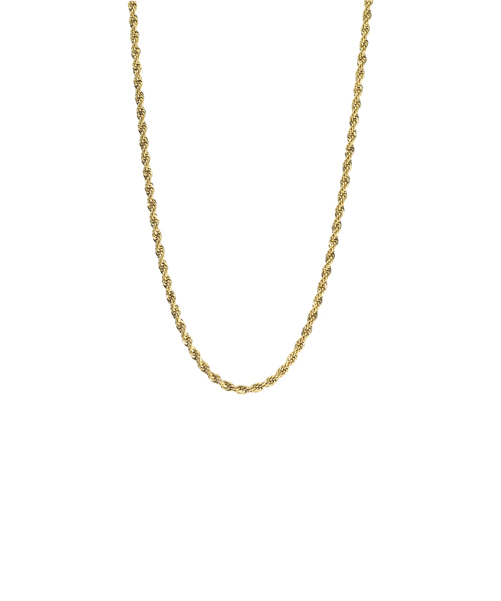 Gold Titanium Twist Necklace 2.5mm