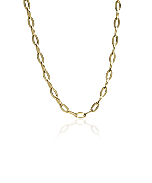 Gold Titanium Grand Link Necklace