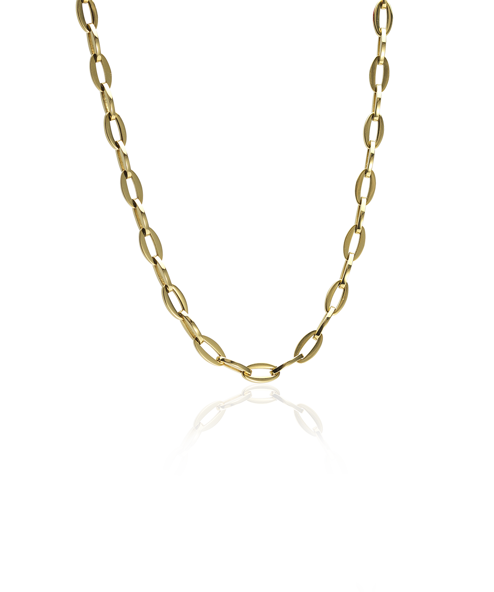 Gold Titanium Grand Link Necklace