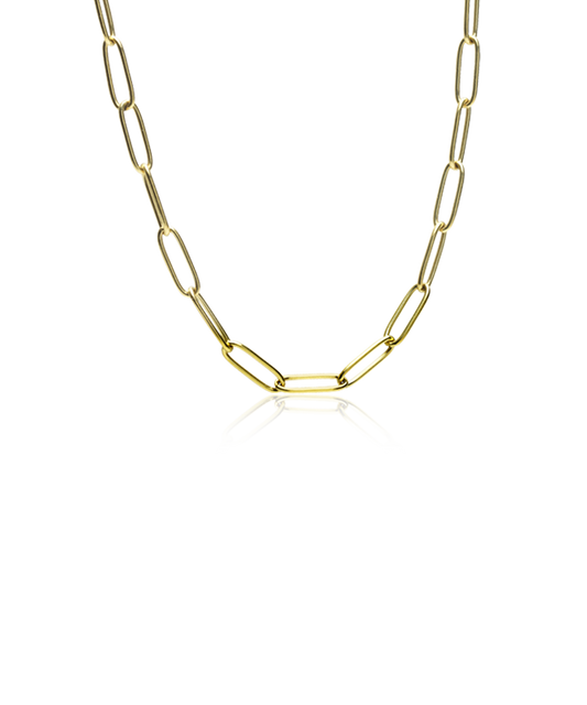 Gold Titanium Link Necklace