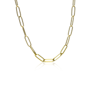 Load image into Gallery viewer, Gold Titanium Link Necklace
