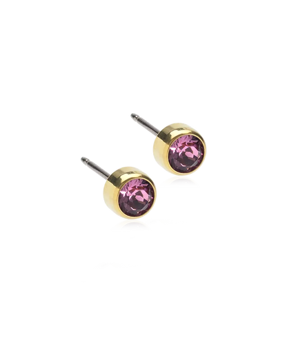 Gold Titanium Bezel Earrings