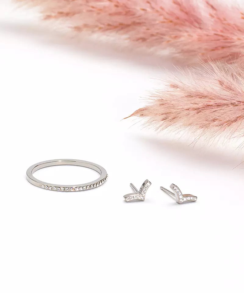 Natural Titanium Brilliance Wing Crystal Earrings 8mm