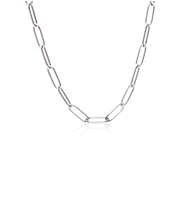 Load image into Gallery viewer, Silver Link Necklace
