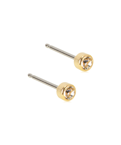Gold Titanium Bezel Earrings
