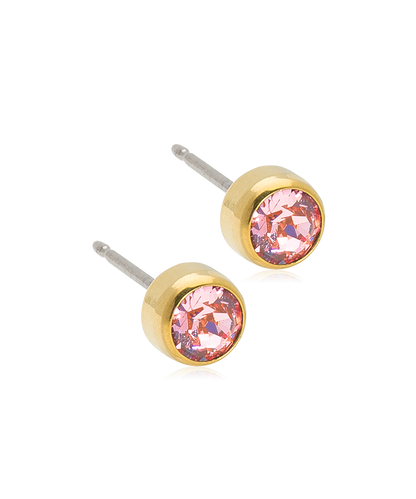 Gold Titanium Bezel Earrings