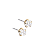 Load image into Gallery viewer, Gold Titanium Tiffany Precious White Cubic Zirconia Earrings
