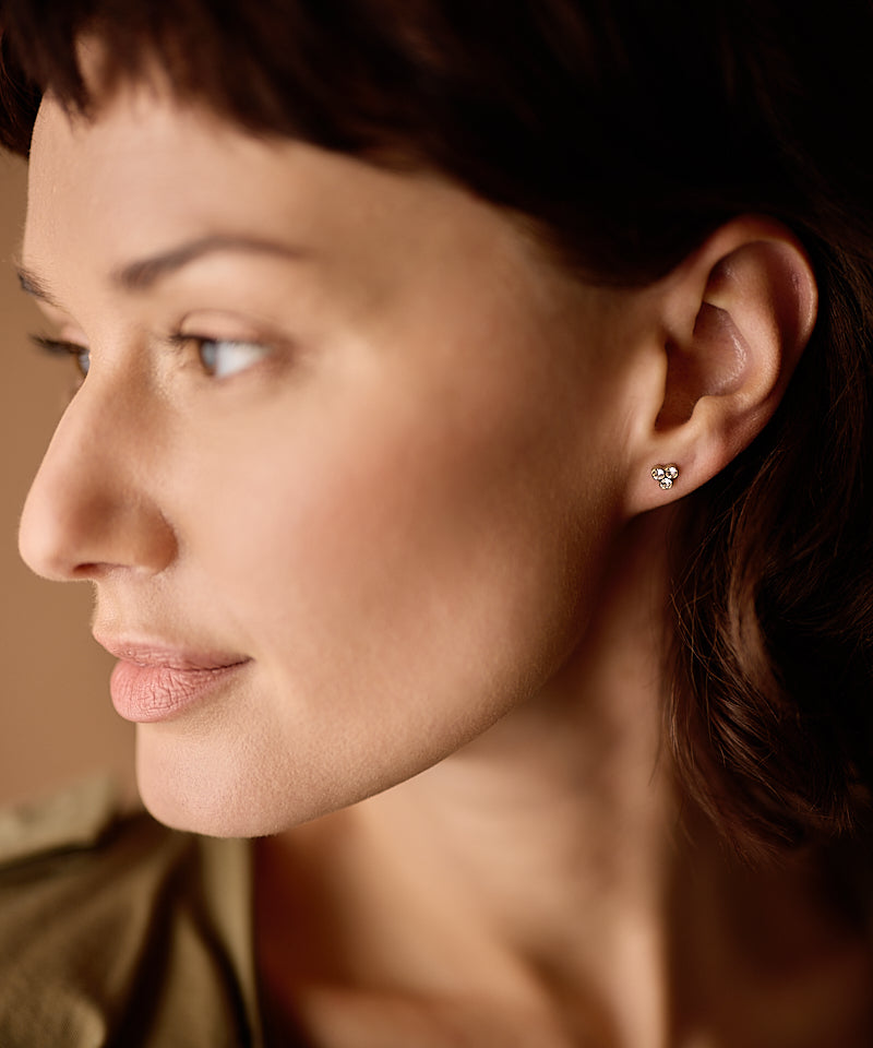 Gold Titanium Clover Earrings