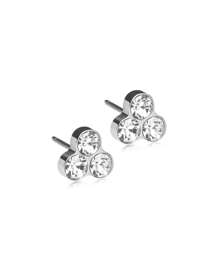 Silver Titanium Clover Earrings