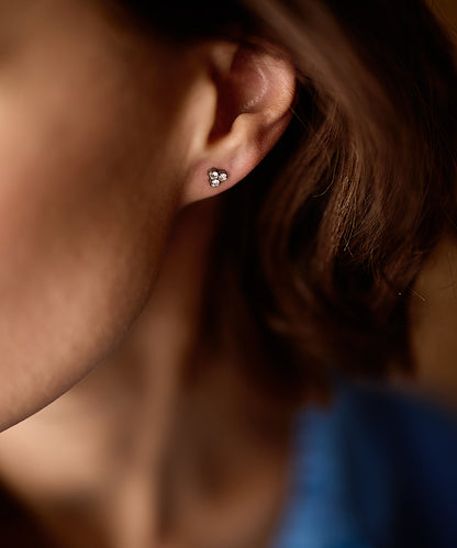 Silver Titanium Clover Earrings