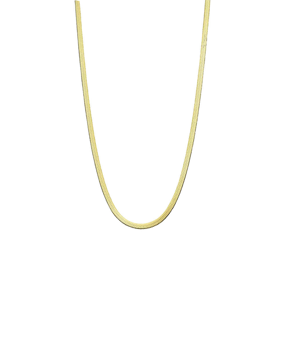 Gold Titanium Plain Necklace 2.5mm
