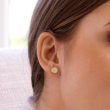 Load image into Gallery viewer, Blomdahl Singapore gold titanium brilliance split hypoallergenic crystal earrings | earrings for senstive skin singapore
